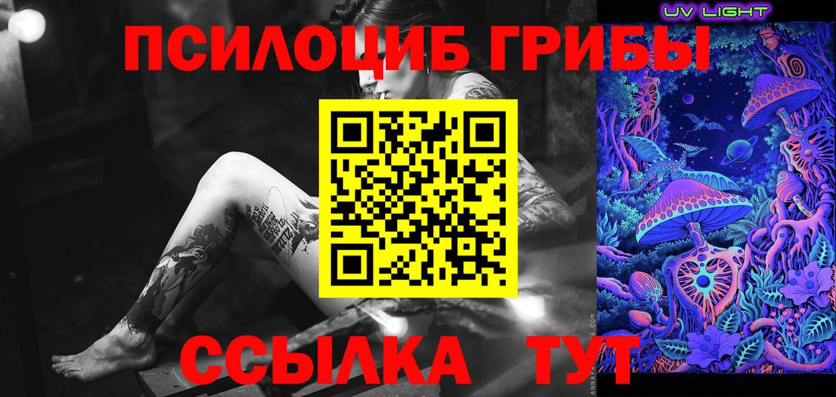 Псилоцибиновые грибы Psilocybine cubensis Назрань